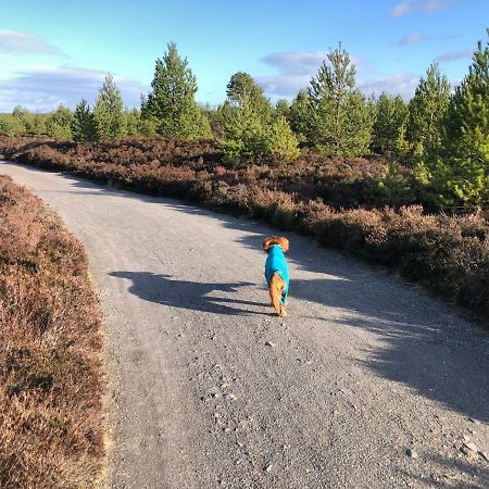 Stelvio Lejlighed Aviemore Eksteriør billede