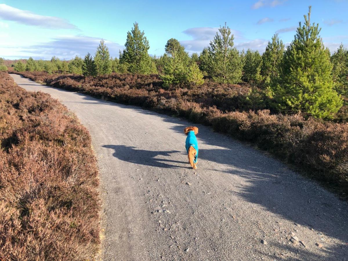 Stelvio Lejlighed Aviemore Eksteriør billede